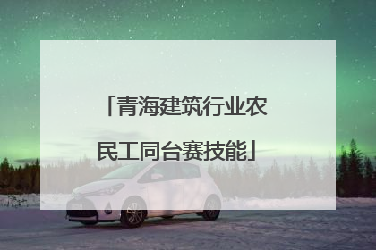 青海建筑行业农民工同台赛技能
