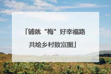 铺就“梅”好幸福路 共绘乡村致富图