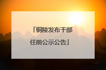 铜陵发布干部任前公示公告