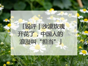锐评｜沙漠玫瑰开花了，中国人的浪漫叫“担当”