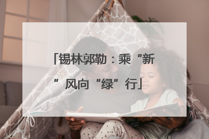 锡林郭勒：乘“新”风向“绿”行