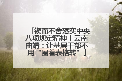 锲而不舍落实中央八项规定精神丨云南曲靖：让基层干部不用“围着表格转”