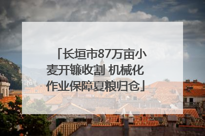 长垣市87万亩小麦开镰收割 机械化作业保障夏粮归仓