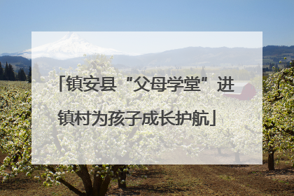 镇安县“父母学堂”进镇村为孩子成长护航