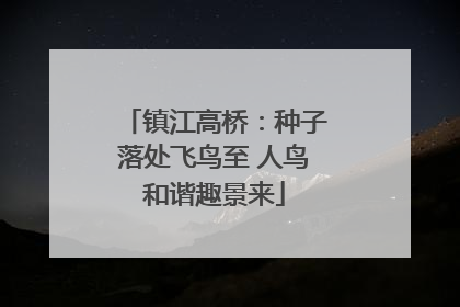镇江高桥：种子落处飞鸟至 人鸟和谐趣景来