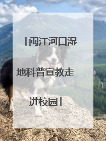 闽江河口湿地科普宣教走进校园