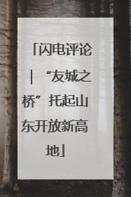 闪电评论｜“友城之桥”托起山东开放新高地