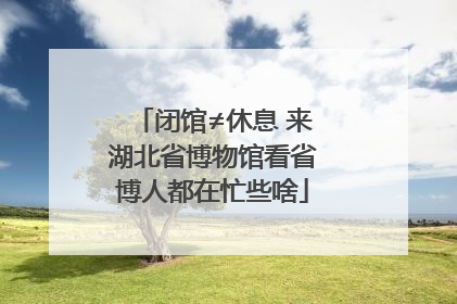 闭馆≠休息 来湖北省博物馆看省博人都在忙些啥