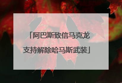 阿巴斯致信马克龙 支持解除哈马斯武装