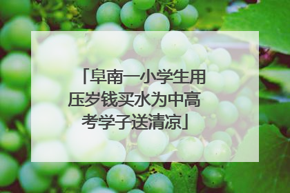 阜南一小学生用压岁钱买水为中高考学子送清凉