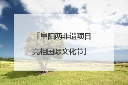 阜阳两非遗项目亮相国际文化节