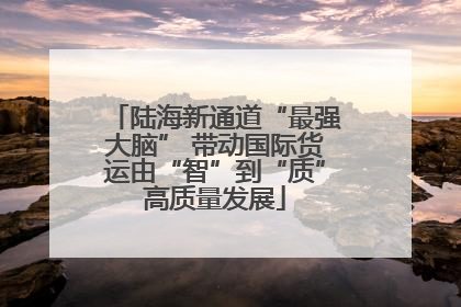 陆海新通道“最强大脑” 带动国际货运由“智”到“质”高质量发展
