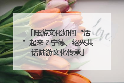 陆游文化如何“活 ”起来？宁德、绍兴共话陆游文化传承