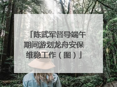 陈武军督导端午期间游划龙舟安保维稳工作（图）
