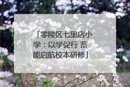零陵区七里店小学：以学促行 蓄能启航校本研修