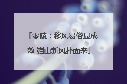 零陵：移风易俗显成效 岿山新风扑面来