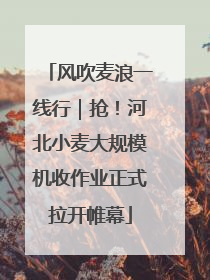 风吹麦浪一线行｜抢！河北小麦大规模机收作业正式拉开帷幕