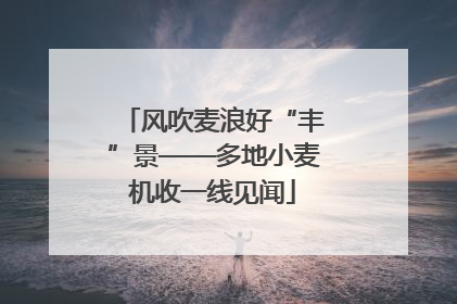 风吹麦浪好“丰”景——多地小麦机收一线见闻