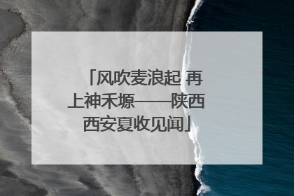 风吹麦浪起 再上神禾塬——陕西西安夏收见闻