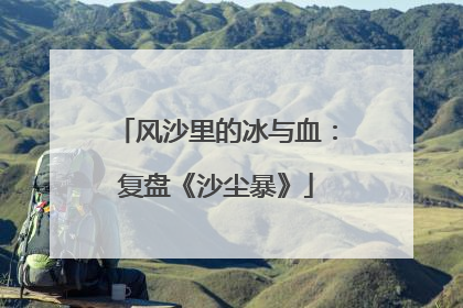 风沙里的冰与血：复盘《沙尘暴》