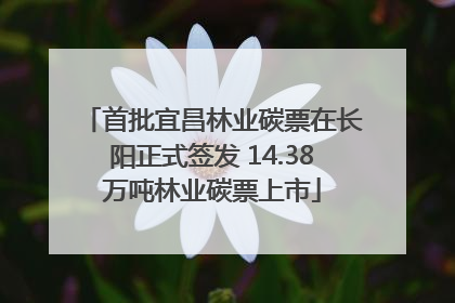 首批宜昌林业碳票在长阳正式签发 14.38万吨林业碳票上市