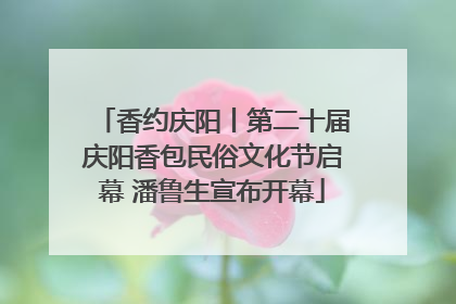 香约庆阳丨第二十届庆阳香包民俗文化节启幕 潘鲁生宣布开幕