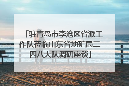驻青岛市李沧区省派工作队莅临山东省地矿局二四八大队调研座谈