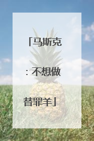 马斯克：不想做替罪羊