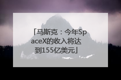 马斯克：今年SpaceX的收入将达到155亿美元
