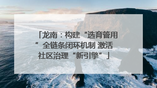 龙南：构建“选育管用”全链条闭环机制 激活社区治理“新引擎”