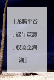 龙腾平谷，端午竞渡，驭浪金海湖