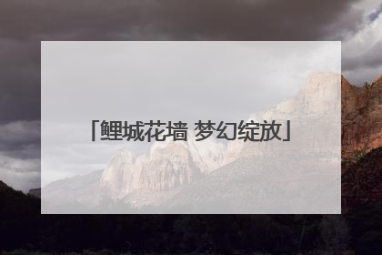 鲤城花墙 梦幻绽放