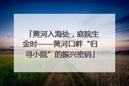 黄河入海处，庭院生金时——黄河口畔“归寻小院”的振兴密码