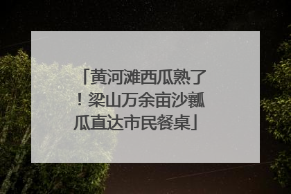 黄河滩西瓜熟了！梁山万余亩沙瓤瓜直达市民餐桌
