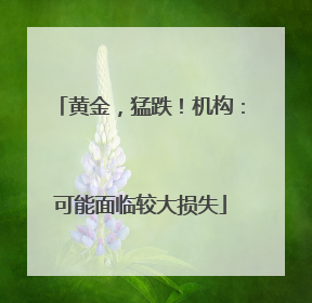 黄金，猛跌！机构：可能面临较大损失