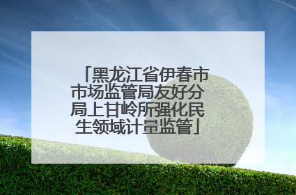 黑龙江省伊春市市场监管局友好分局上甘岭所强化民生领域计量监管