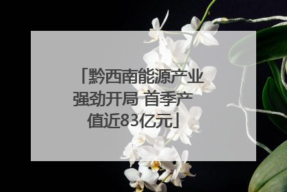 黔西南能源产业强劲开局 首季产值近83亿元