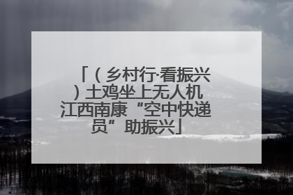 （乡村行·看振兴）土鸡坐上无人机 江西南康“空中快递员”助振兴