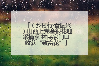 （乡村行·看振兴）山西上党金银花迎采摘季 村民家门口收获“致富花”
