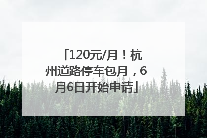 120元/月！杭州道路停车包月，6月6日开始申请