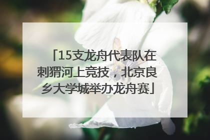 15支龙舟代表队在刺猬河上竞技，北京良乡大学城举办龙舟赛