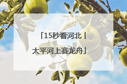 15秒看河北丨太平河上赛龙舟
