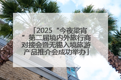 2025“今夜梁宵”第二届境内外旅行商对接会暨无锡入境旅游产品推介会成功举办
