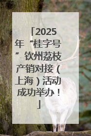 2025年“桂字号”钦州荔枝产销对接（上海）活动成功举办！
