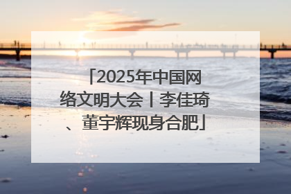 2025年中国网络文明大会丨李佳琦、董宇辉现身合肥