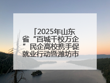 2025年山东省“百城千校万企”民企高校携手促就业行动暨潍坊市职教活动周启动