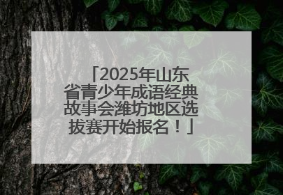 2025年山东省青少年成语经典故事会潍坊地区选拔赛开始报名！