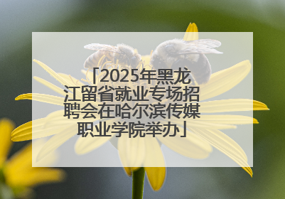 2025年黑龙江留省就业专场招聘会在哈尔滨传媒职业学院举办