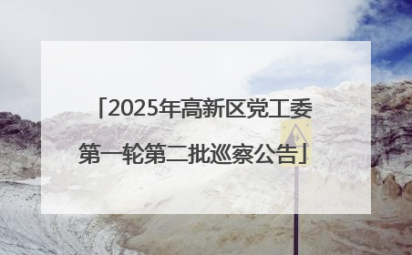 2025年高新区党工委第一轮第二批巡察公告