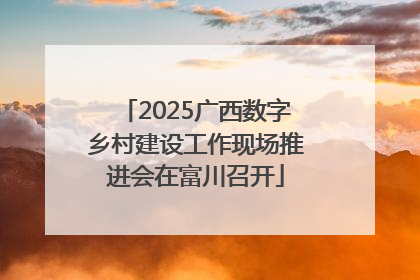 2025广西数字乡村建设工作现场推进会在富川召开